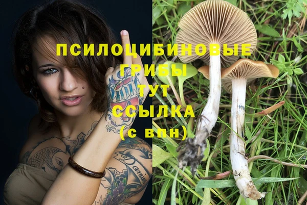 ALPHA PVP Магас