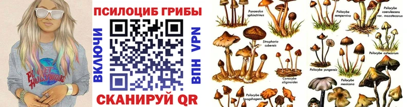 Галлюциногенные грибы Magic Shrooms  Малая Вишера 